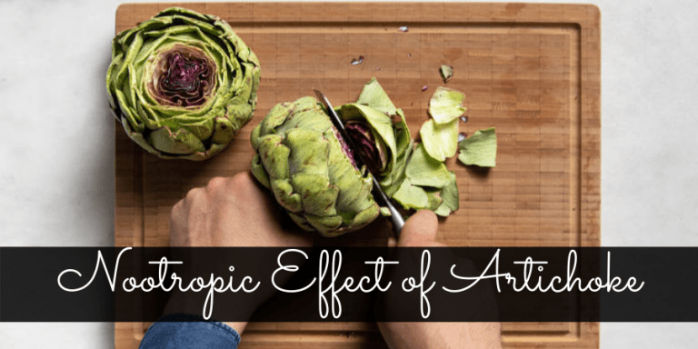 Exploring Nootropics Effect of Artichoke Extract