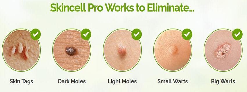 How Does Skincell Pro Work