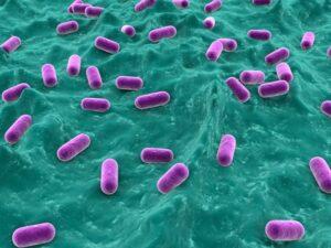 Benefits of Probiotics