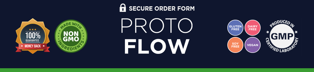 protoflow official website