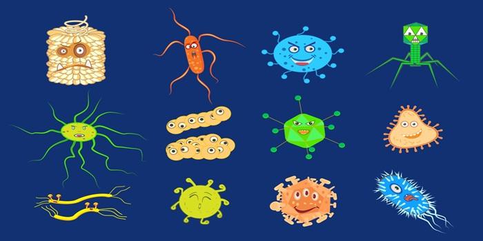 What is Gut Microbiome? It’s Impact on Overall Health!