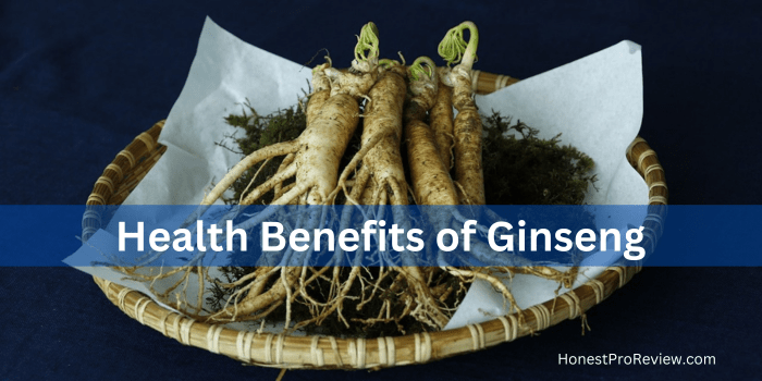 health benefits of ginseng