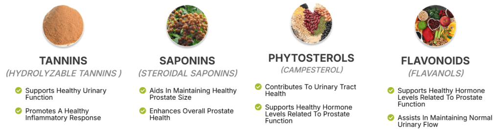 prostapure ingredients