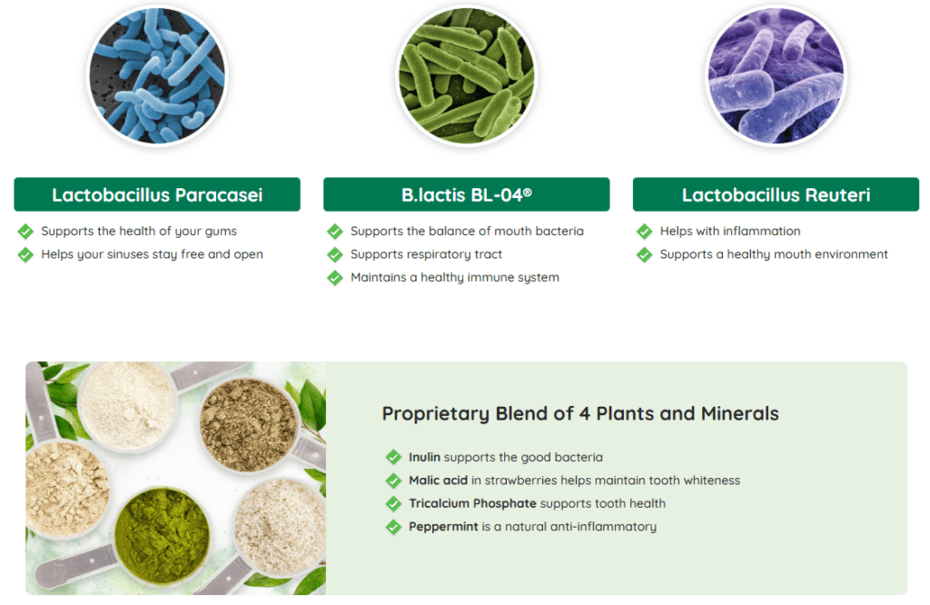 Prodentim ingredients