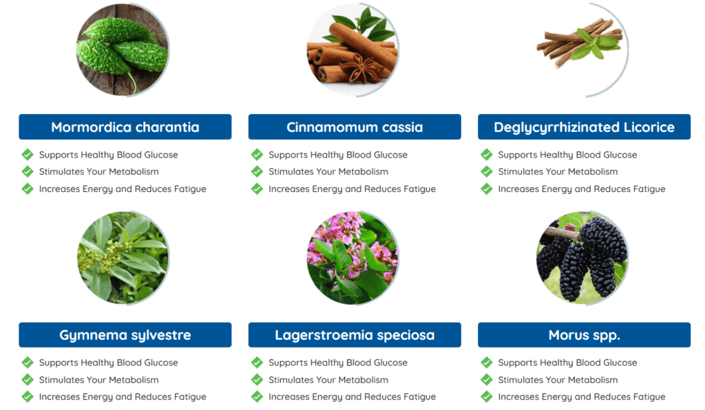 gluco extend ingredients