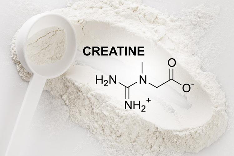 Creatine Functions Benefits and characteristics