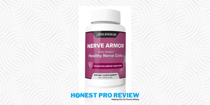 what is nerve armor