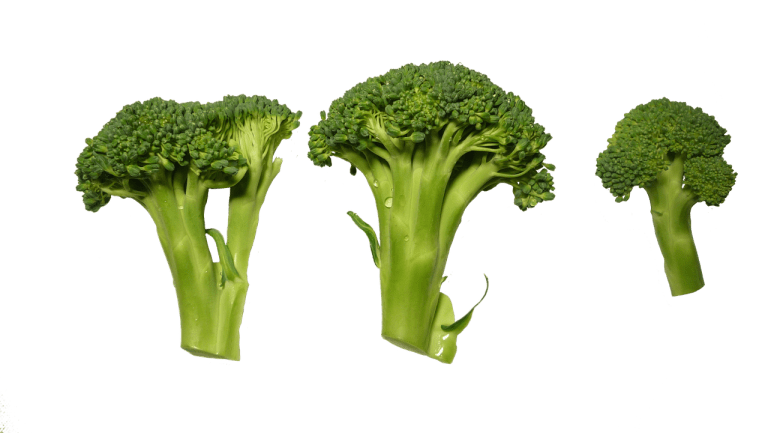 Broccoli: Tree-shaped Veggie with Magical Health Benefits