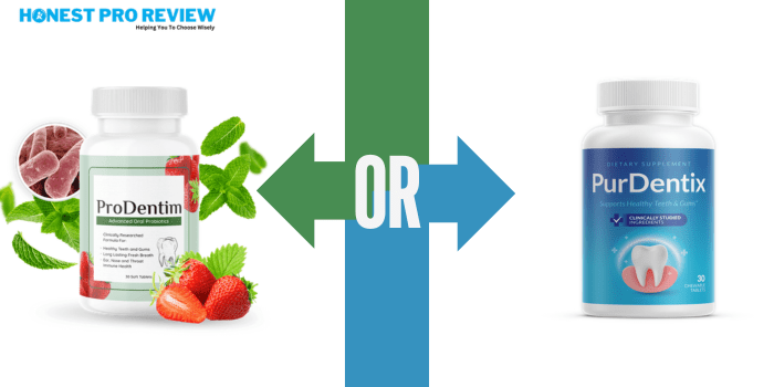 prodentim or purdentix