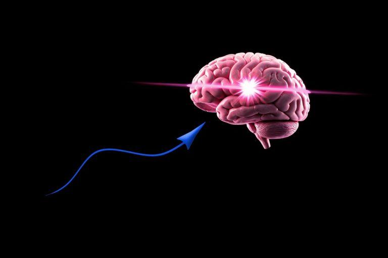 Gut-Brain Connection